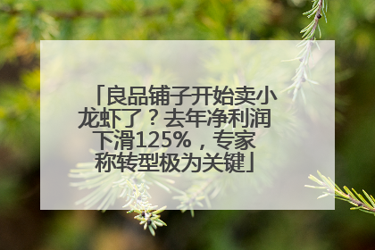 良品铺子开始卖小龙虾了？去年净利润下滑125%，专家称转型极为关键